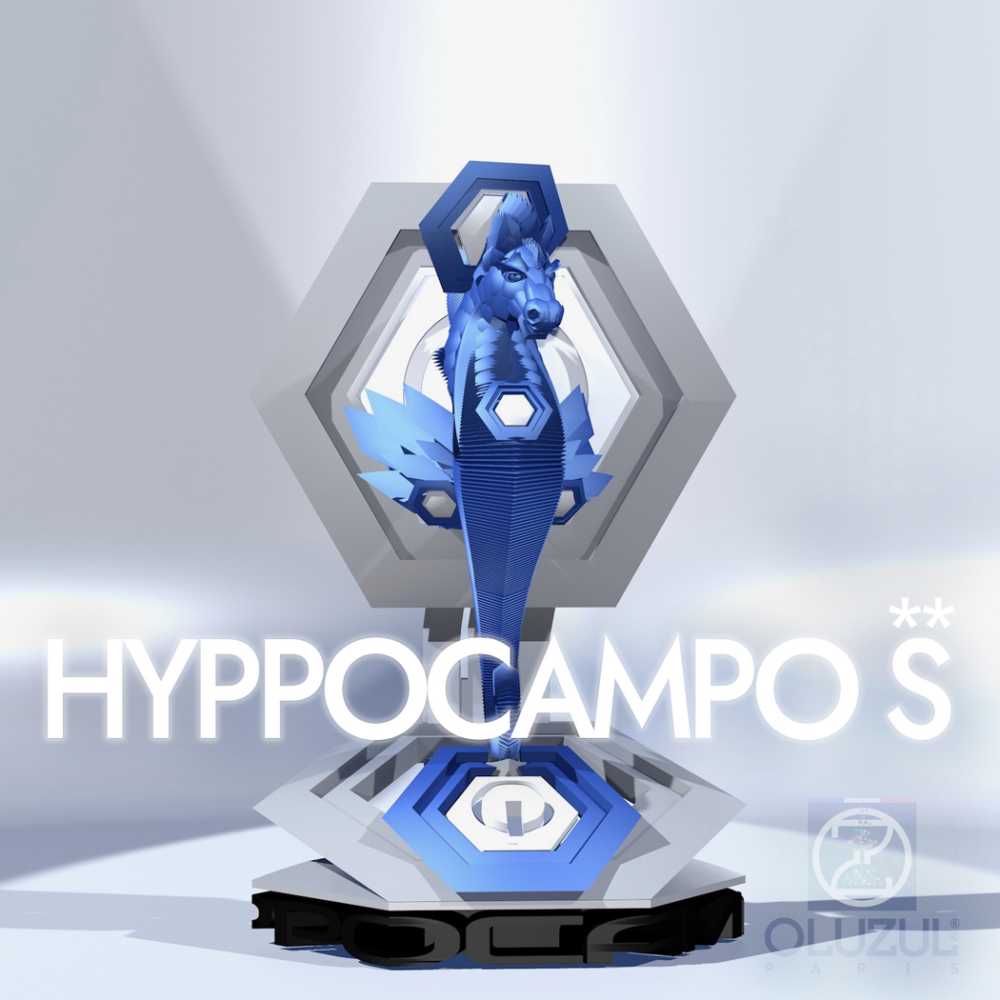 HYPPOCAMPO S**