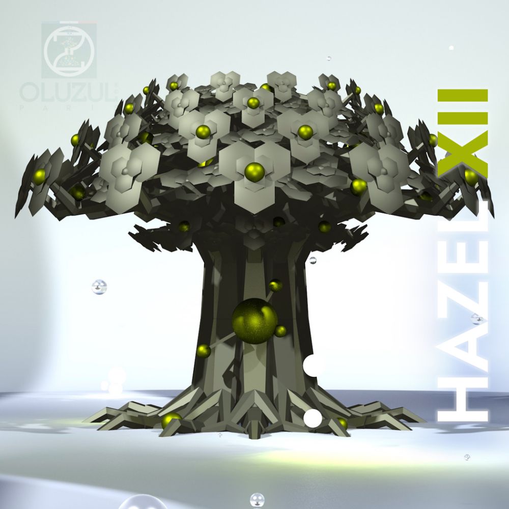 HAZEL 12