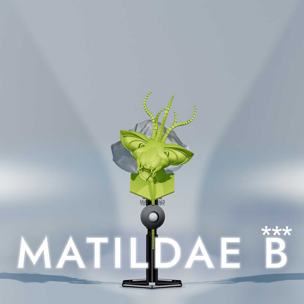 MATILDAE B***