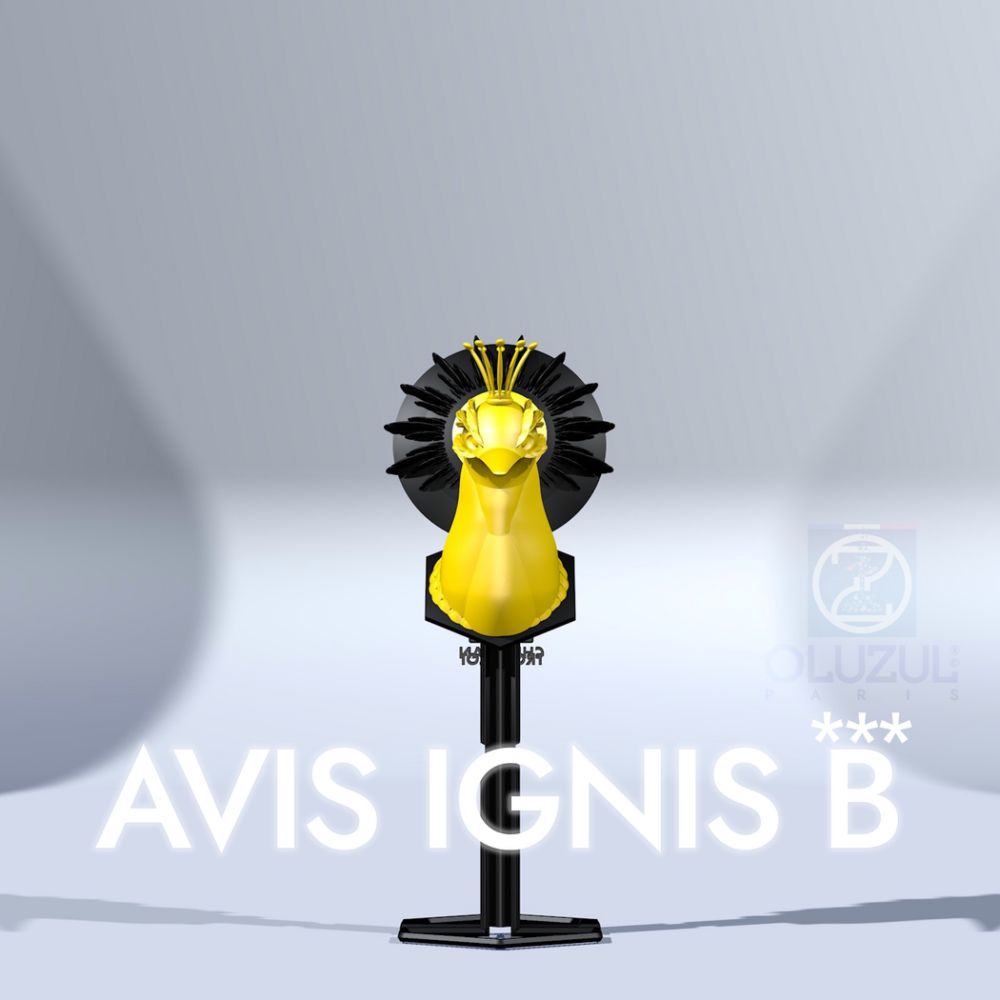 AVIS IGNIS B