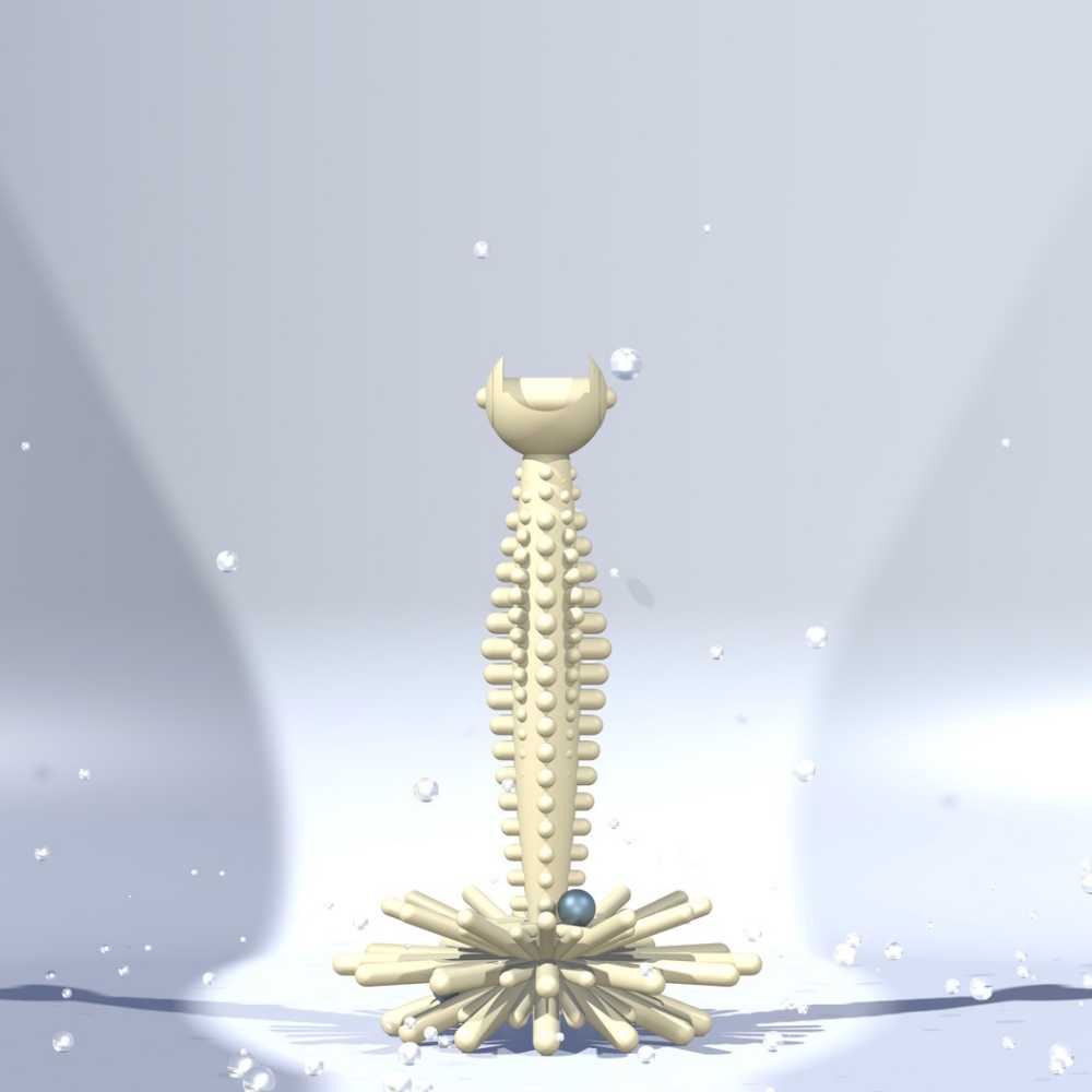 HAZEL 5