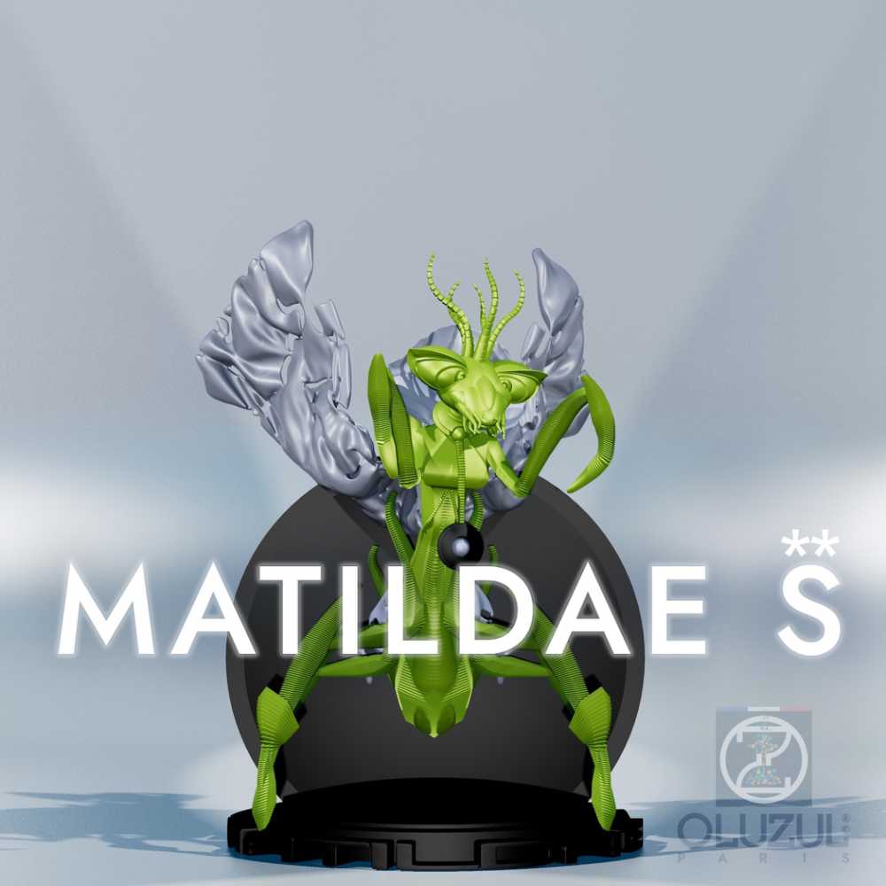 MATILDAE S**